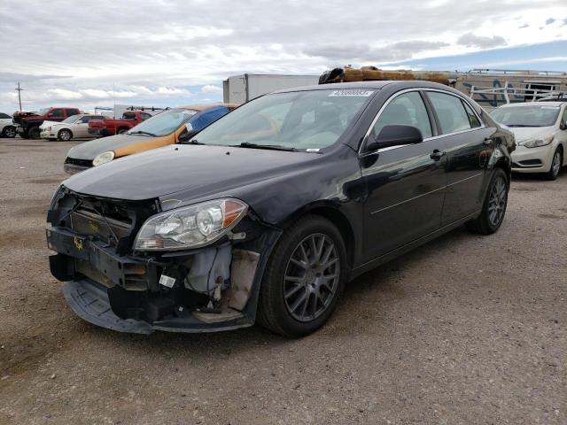CHEVROLET MALIBU LS 2012 with VIN 1G1ZB5E02CF342213 - Photo from auction