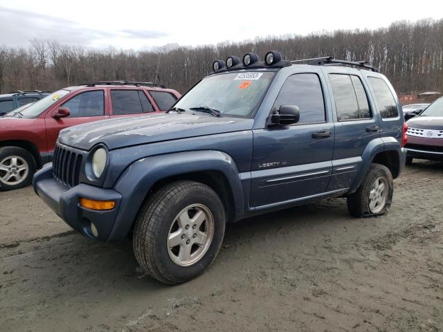 Photo 1 from auction – 2002 JEEP LIBERTY LI with VIN 1J4GL58K42W284087