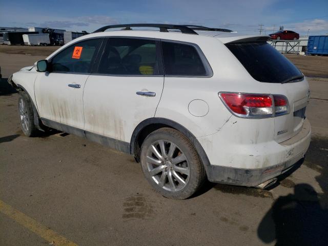 Photo 2 from auction – 2009 MAZDA CX-9 with VIN JM3TB28V190175896