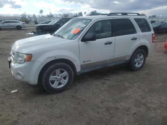 Photo 1 from auction – 2009 FORD ESCAPE HYB with VIN 1FMCU59399KB39651