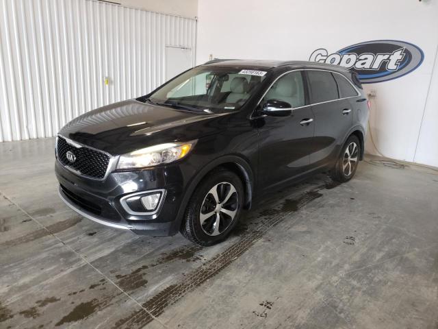 KIA SORENTO EX 2016 with VIN 5XYPH4A56GG006303 - Photo from auction