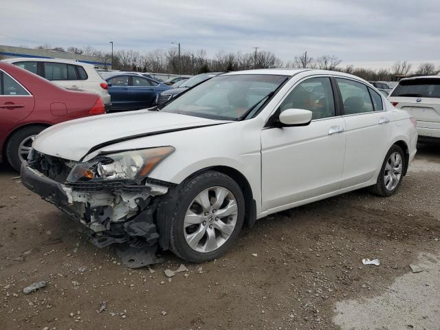 HONDA ACCORD EXL 2010 with VIN 5KBCP3F86AB006574 - Photo from auction
