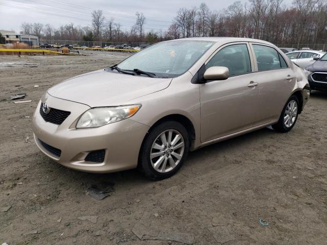 TOYOTA COROLLA BA 2009 with VIN 2T1BU40E29C059389 - Photo from auction