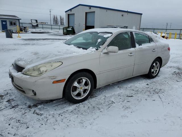 LEXUS ES 330 2005 with VIN JTHBA30G555081946 - Photo from auction