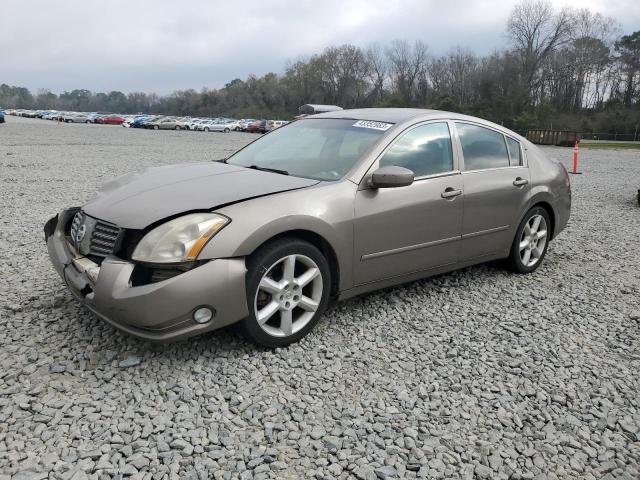 NISSAN MAXIMA SE 2006 with VIN 1N4BA41E36C809528 - Photo from auction