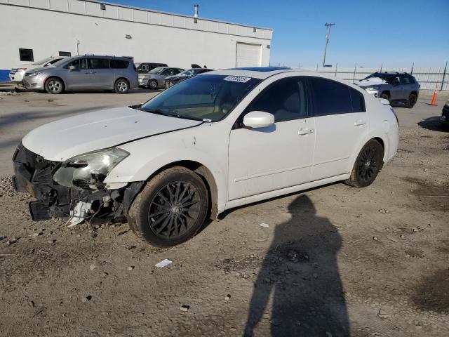 NISSAN MAXIMA SE 2007 with VIN 1N4BA41E17C831576 - Photo from auction