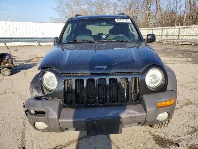 Photo 5 from auction – 2004 JEEP LIBERTY SP with VIN 1J4GL48K14W243123