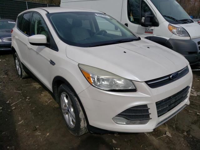 Photo 4 from auction – 2014 FORD ESCAPE SE with VIN 1FMCU0GX5EUC73449