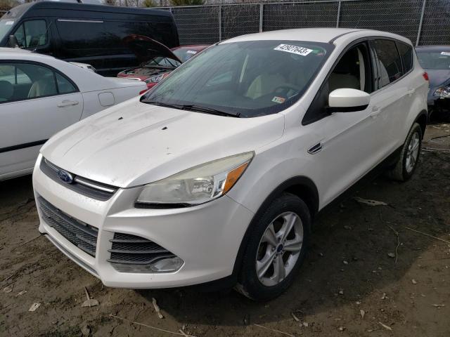 FORD ESCAPE SE 2014 with VIN 1FMCU0GX5EUC73449 - Photo from auction