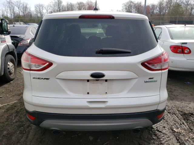 Photo 6 from auction – 2014 FORD ESCAPE SE with VIN 1FMCU0GX5EUC73449