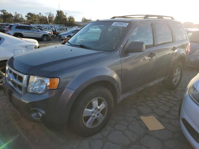 FORD ESCAPE XLT 2009 with VIN 1FMCU03G39KA64699 - Photo from auction