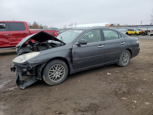 LEXUS ES 330 2004 with VIN JTHBA30G245042293 - Photo from auction