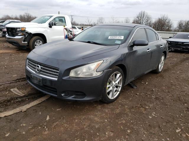 NISSAN MAXIMA S 2009 with VIN 1N4AA51E69C856686 - Photo from auction