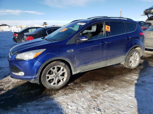 FORD ESCAPE SEL 2013 with VIN 1FMCU0H97DUD12735 - Photo from auction
