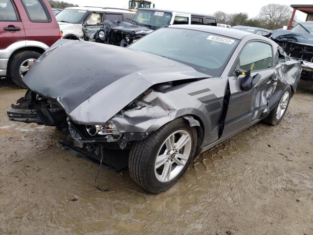 FORD MUSTANG 2014 with VIN 1ZVBP8AM4E5231074 - Photo from auction