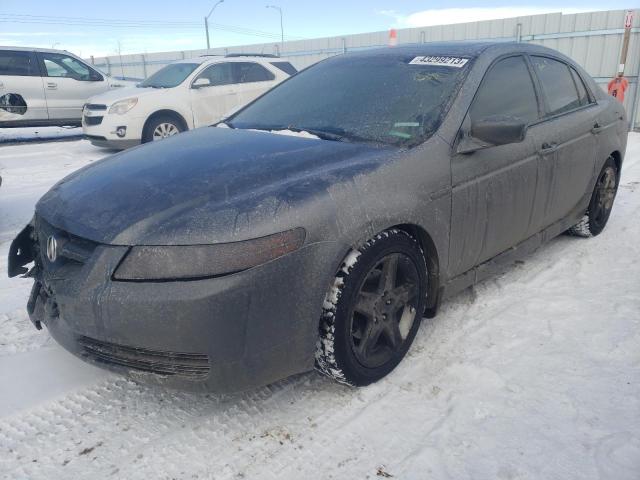 ACURA TL 2005 with VIN 19UUA66265A804249 - Photo from auction