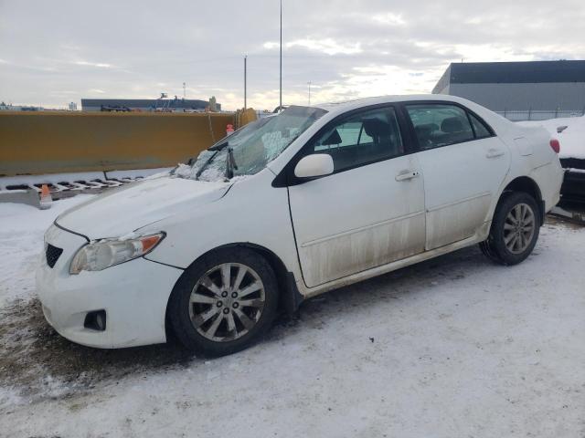 TOYOTA COROLLA BA 2010 with VIN 2T1BU4EE2AC192795 - Photo from auction