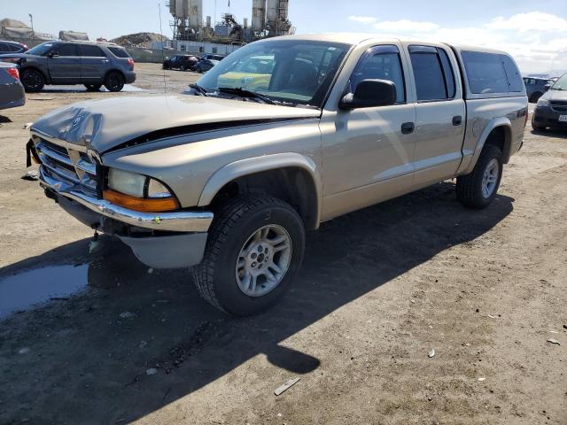 DODGE DAKOTA QUA 2003 with VIN 1D7HG48NX3S146684 - Photo from auction