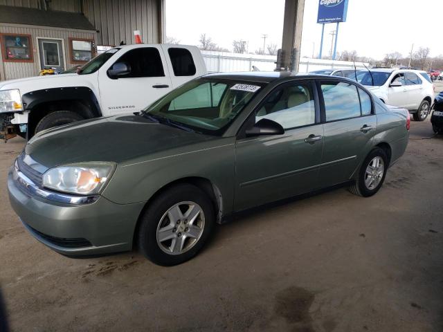 CHEVROLET MALIBU LS 2005 with VIN 1G1ZT54885F148034 - Photo from auction