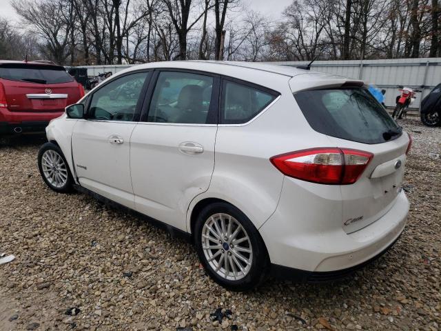 Photo 2 from auction – 2013 FORD C-MAX SEL with VIN 1FADP5BUXDL552884