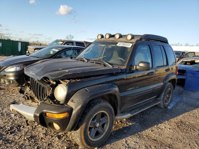 JEEP LIBERTY RE 2003 with VIN 1J4GL38K73W661341 - Photo from auction