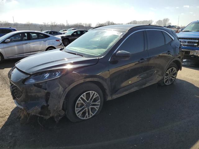 FORD ESCAPE SEL 2020 with VIN 1FMCU9H69LUC14461 - Photo from auction