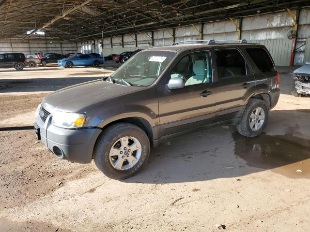 FORD ESCAPE 2006 with VIN 1FMYU03166KA42371 - Photo from auction