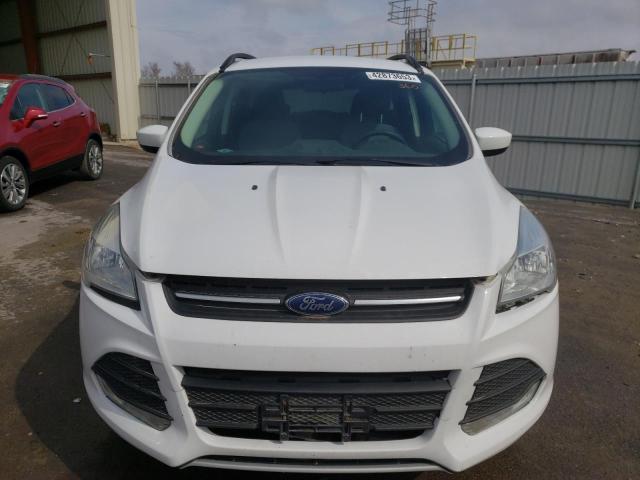 Photo 5 from auction – 2014 FORD ESCAPE SE with VIN 1FMCU0G99EUC66960