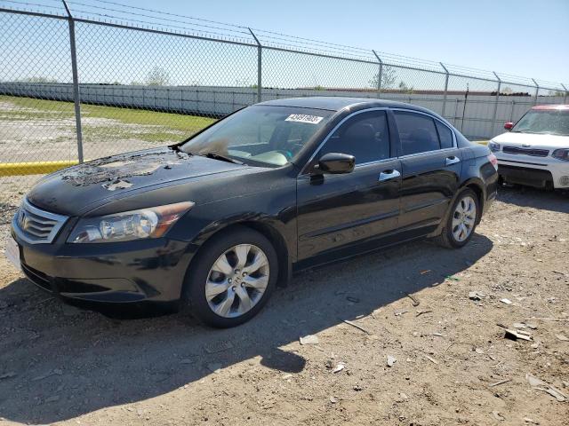 HONDA ACCORD EXL 2010 with VIN 1HGCP2F88AA177569 - Photo from auction
