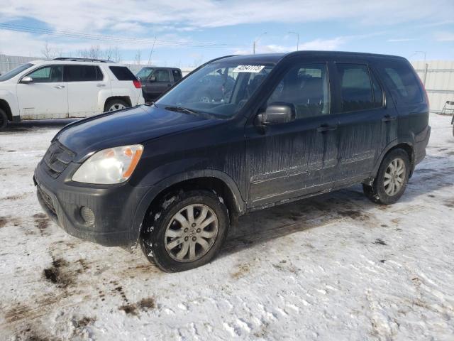 HONDA CR-V EX 2006 with VIN JHLRD78856C809437 - Photo from auction