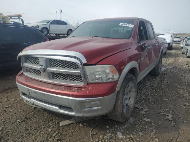 DODGE RAM 1500 2009 with VIN 1D3HV13T59J524033 - Photo from auction