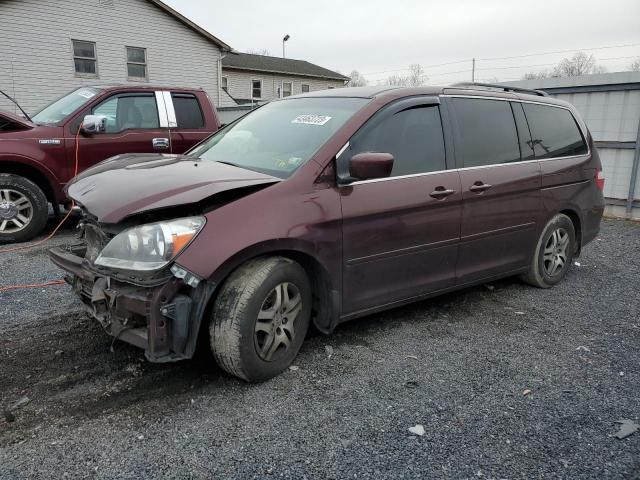 HONDA ODYSSEY EX 2007 with VIN 5FNRL38477B412242 - Photo from auction
