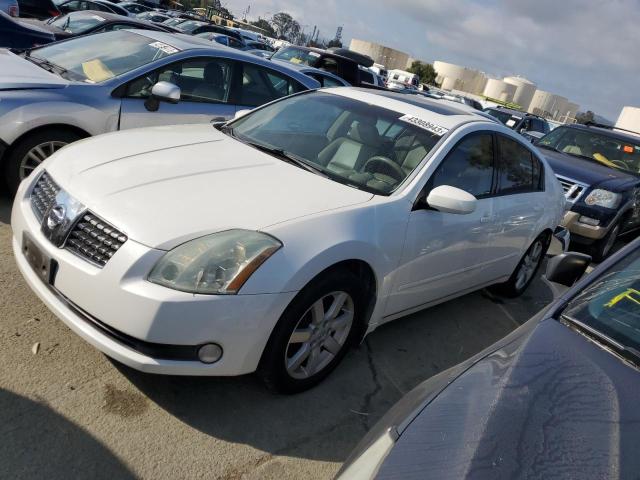 NISSAN MAXIMA SE 2006 مع رقم تعريف المركبة 1N4BA41E86C823246 - صورة من المزاد