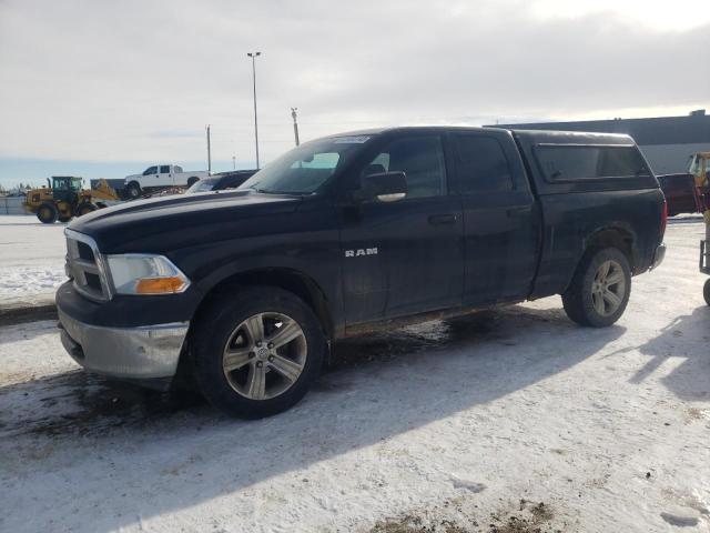 DODGE RAM 1500 2009 with VIN 1D3HV18T09S824193 - Photo from auction