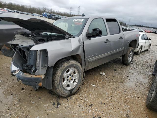 CHEVROLET 1500 SILVE 2009 with VIN 2GCEK23M891124934 - Photo from auction