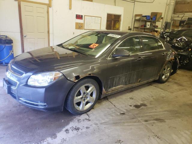 CHEVROLET MALIBU 2LT 2010 with VIN 1G1ZC5EBXAF273282 - Photo from auction