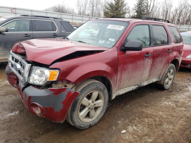 FORD ESCAPE XLT 2011 with VIN 1FMCU0DG9BKC08146 - Photo from auction