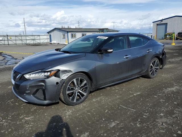 NISSAN MAXIMA SV 2021 with VIN 1N4AA6CV7MC504308 - Photo from auction