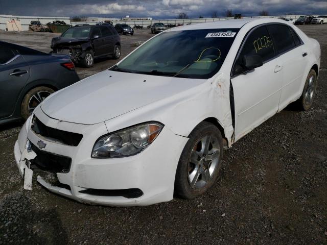 CHEVROLET MALIBU LS 2010 with VIN 1G1ZB5EB8AF166248 - Photo from auction
