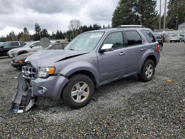 Photo 1 from auction – 2008 FORD ESCAPE HEV with VIN 1FMCU49H68KA60653