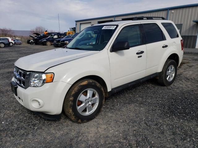 FORD ESCAPE XLT 2012 with VIN 1FMCU9DG9CKB49900 - Photo from auction