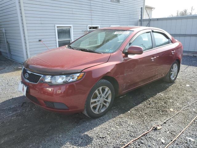 KIA FORTE EX 2012 with VIN KNAFU4A24C5495491 - Photo from auction