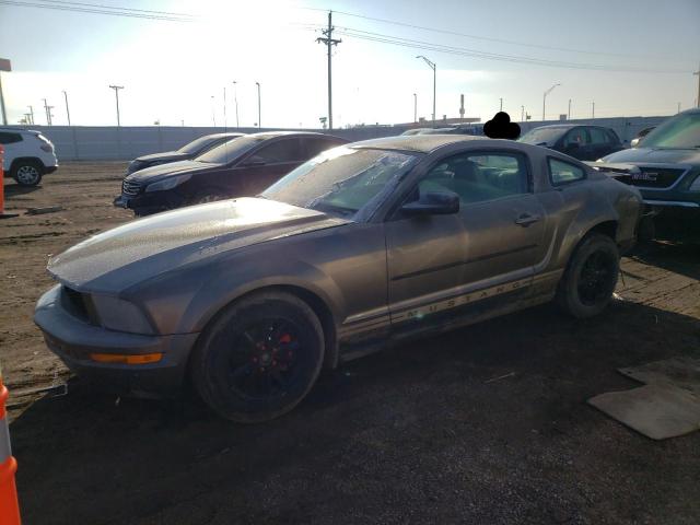 Photo 1 from auction – 2005 FORD MUSTANG with VIN 1ZVFT80N955206632