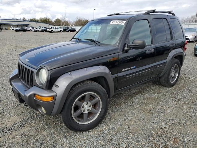 JEEP LIBERTY SP 2003 with VIN 1J4GL48K93W663551 - Photo from auction