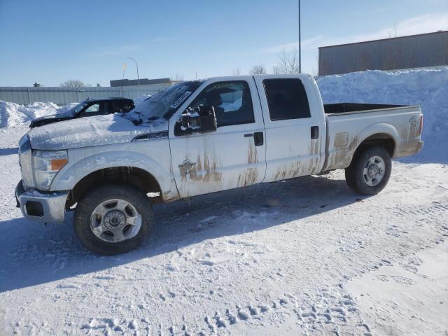 FORD F250 SUPER 2015 with VIN 1FT7W2BT6FEA63633 - Photo from auction