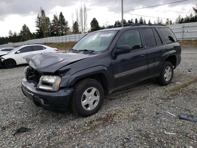 CHEVROLET TRAILBLAZE 2003 with VIN 1GNDT13S532137012 - Photo from auction