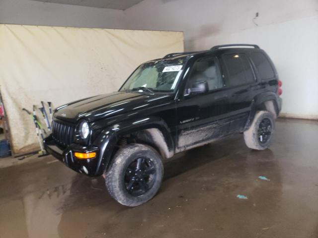 JEEP LIBERTY LI 2002 with VIN 1J4GL58K22W180178 - Photo from auction