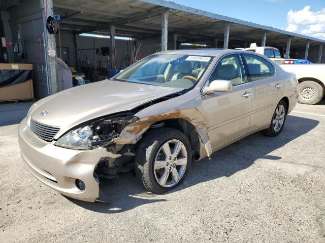 LEXUS ES 330 2005 with VIN JTHBA30G755090549 - Photo from auction