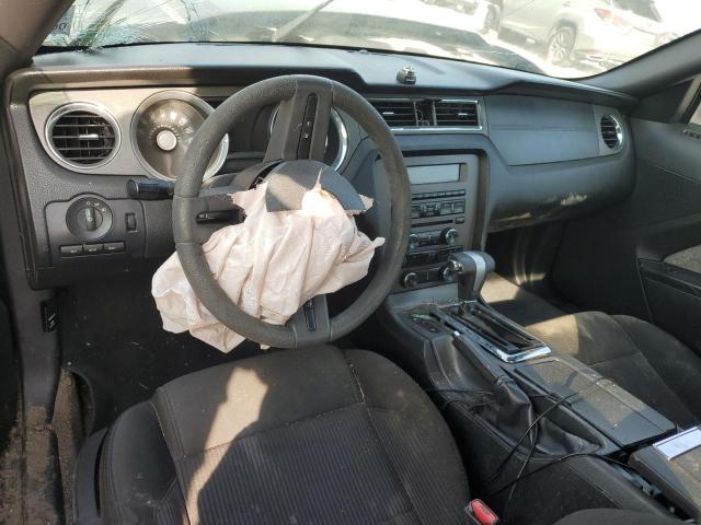Photo 8 from auction – 2011 FORD MUSTANG with VIN 1ZVBP8AM4B5123369
