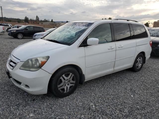 HONDA ODYSSEY EX 2005 with VIN 5FNRL38685B419019 - Photo from auction